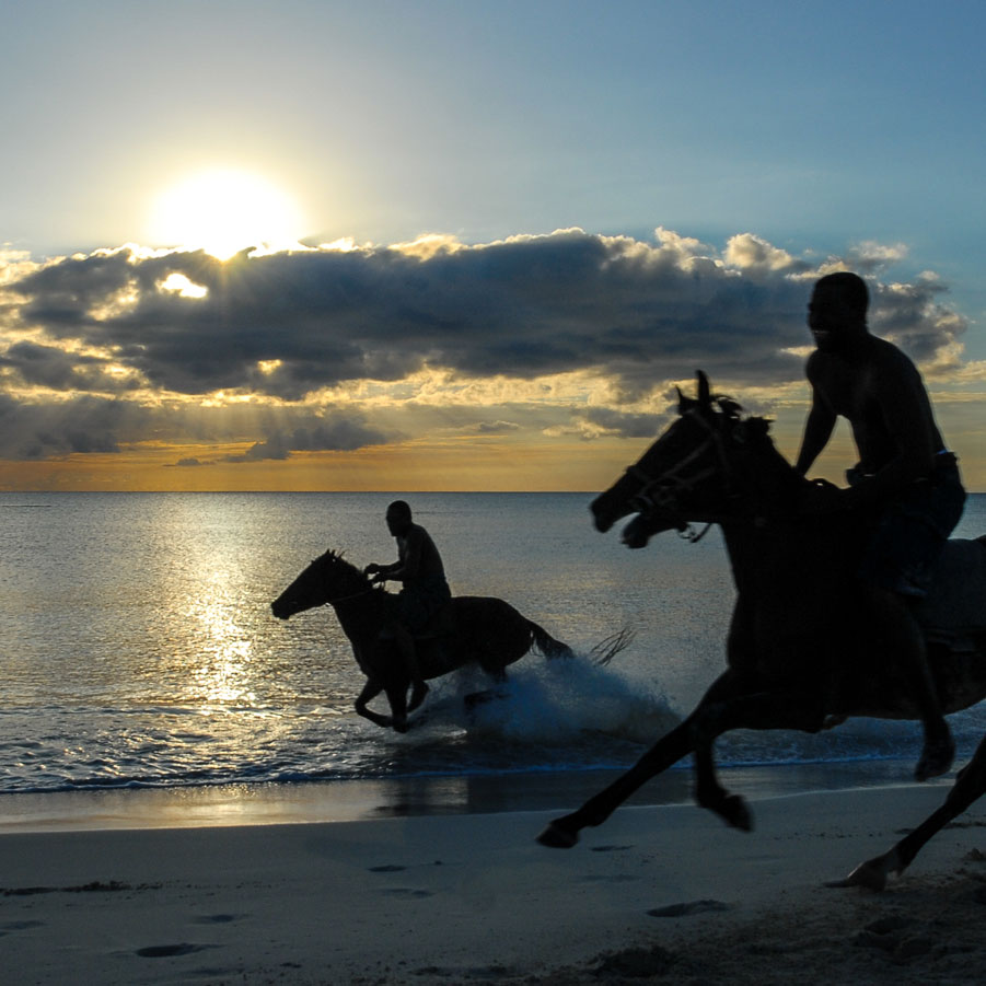 Animal-BeachHorsebackRiding2-JRA6855